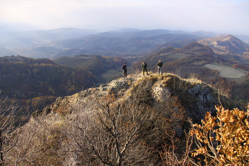 Ostrvica 2011