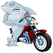 Shark with Bike Art faceleft GPS 2009 normal