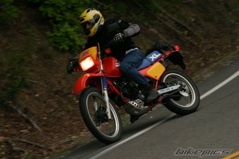 2007_08_27_bikepics-1005115-full.jpg