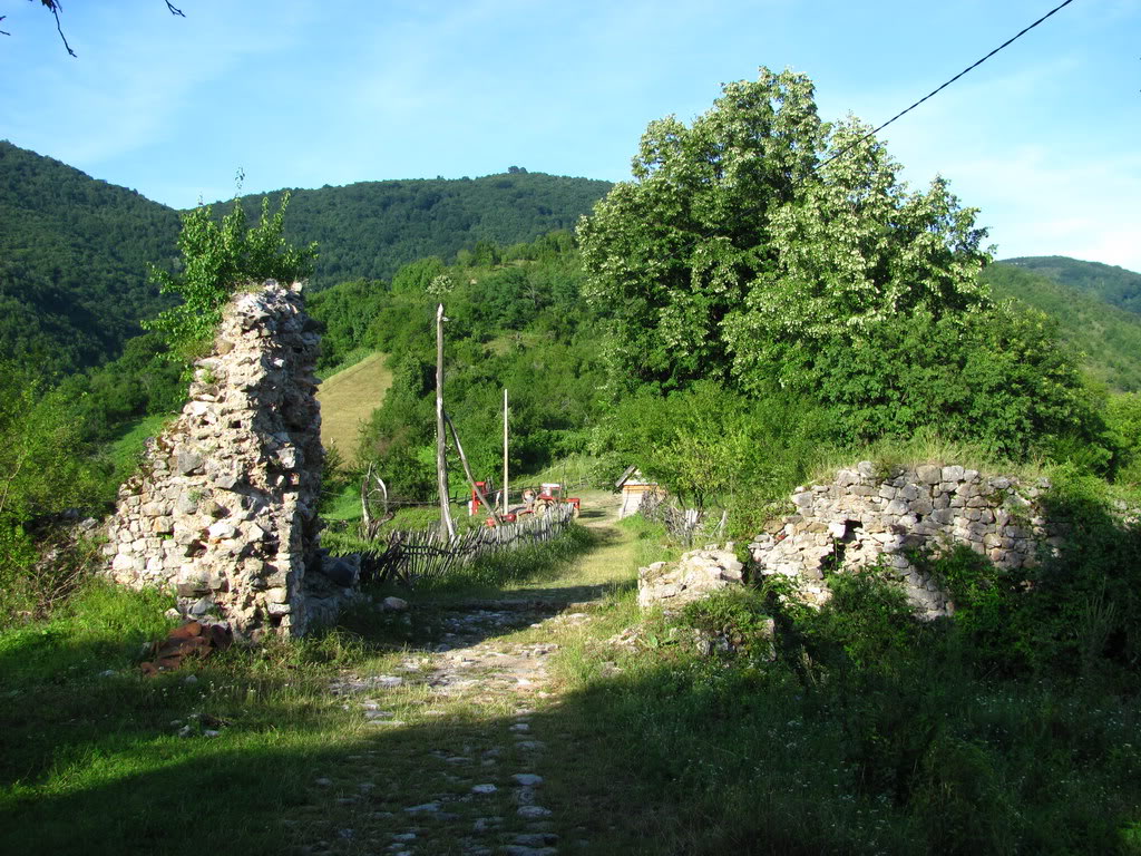 21b.jpg