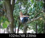 3qjxz_picture0321024x768sy2.th.jpg