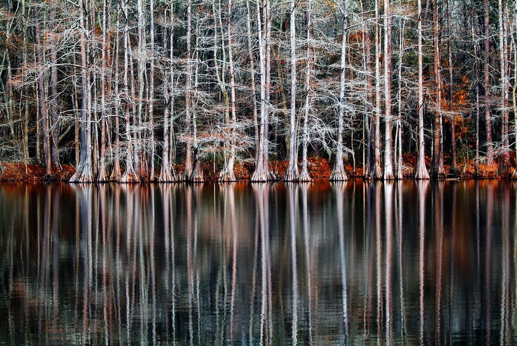 72dpi_Lake_Isabella-reflections.jpg