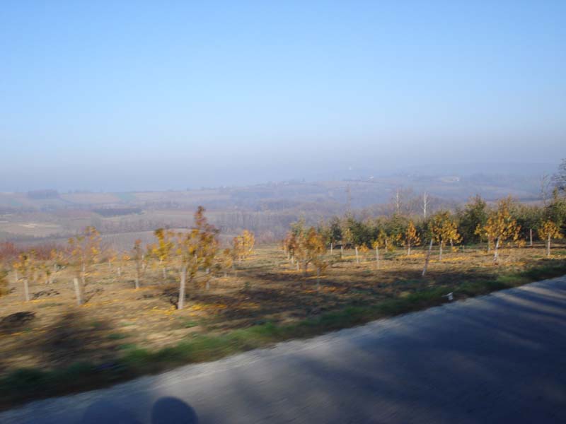 7aZPY_dsc01360o.jpg