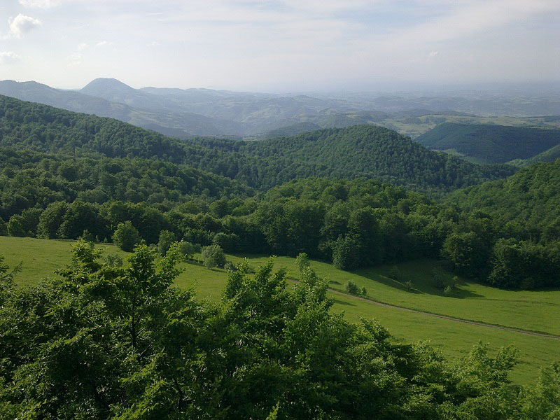 88gNW_75563878.jpg