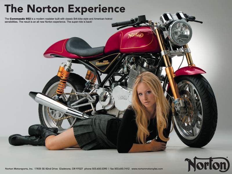 8BpYT_nortongirl1024x76811684.jpg