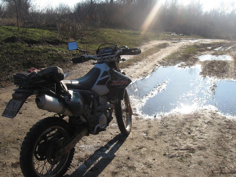 9SvMa_img5687t.jpg