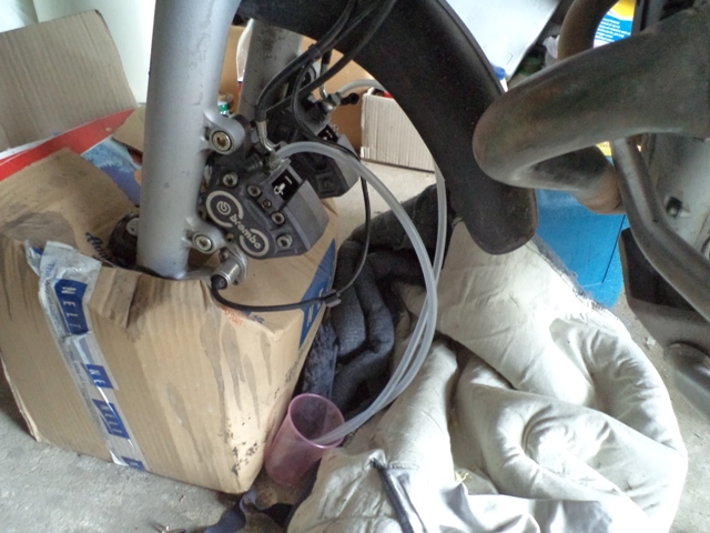 DSC00976_zps989bd8e0.jpg