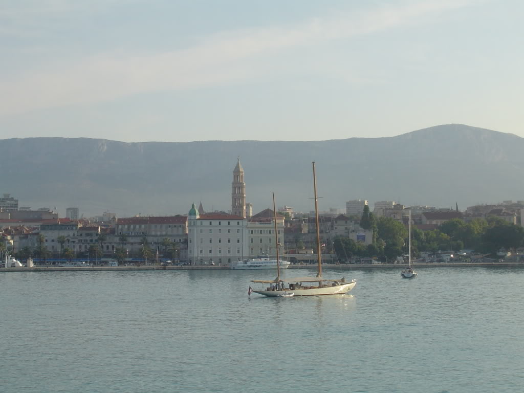 DSC03678.jpg