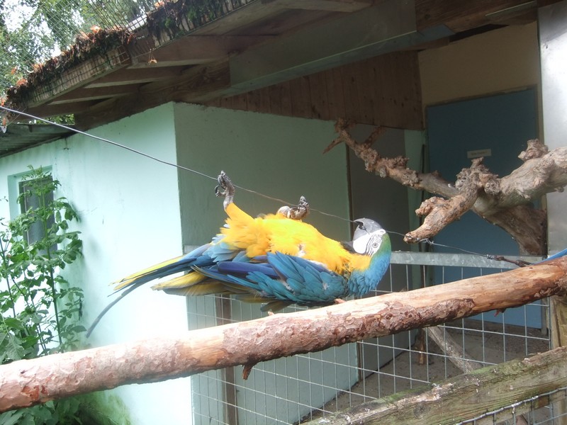DSCF0699.jpg