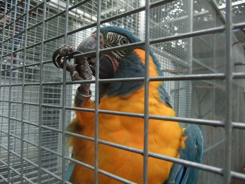DSCF0742.jpg