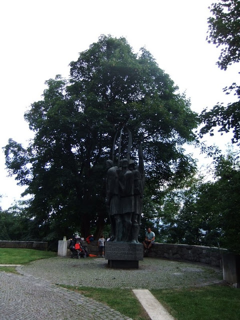 DSCF1084.jpg
