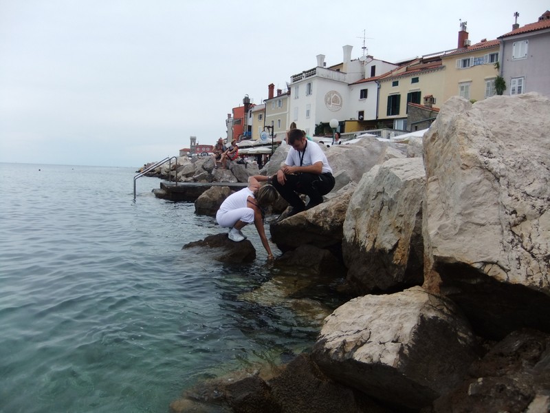 DSCF1272.jpg