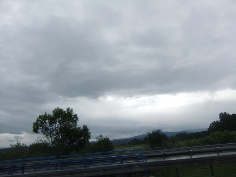 DSCF1390.jpg
