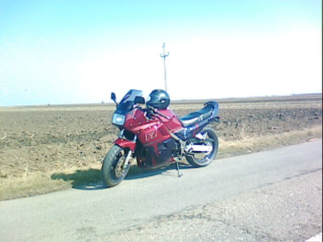 FZ01032009.jpg