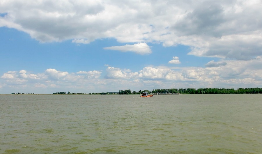 Dunav je ovde širok, ali skela vozi brzo (REW 2016)