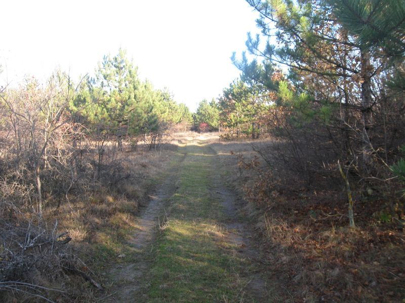 HgDKK_img5706kc.jpg