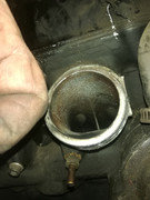 IMG-20200613-100053.jpg