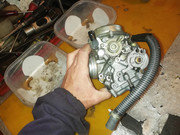 IMG-20200622-105057.jpg
