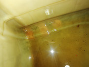 IMG-20200623-214419.jpg