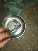 IMG-20200804-114024.jpg