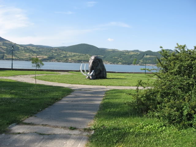 IMG_0040-1.jpg