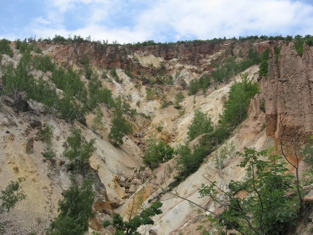 IMG_0176.jpg