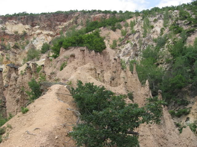 IMG_0178.jpg