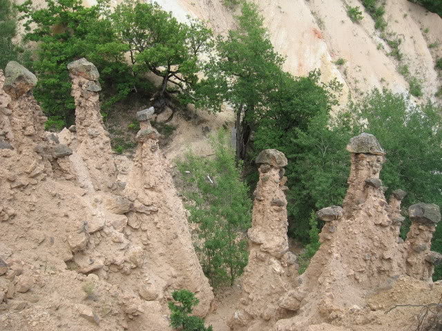 IMG_0185.jpg