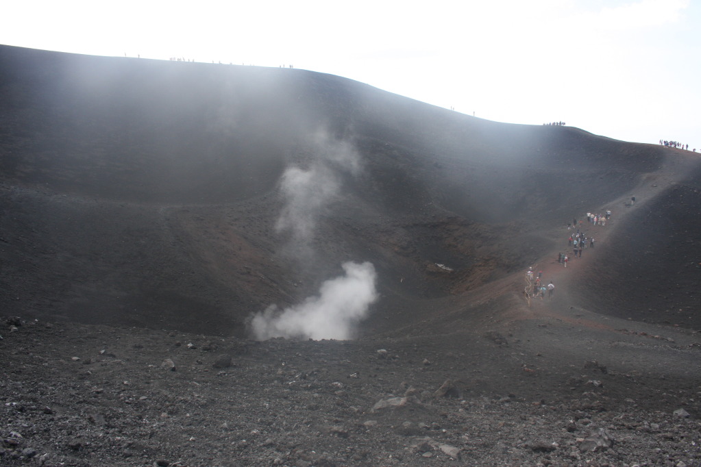 IMG_0196_zps9eddc010.jpg