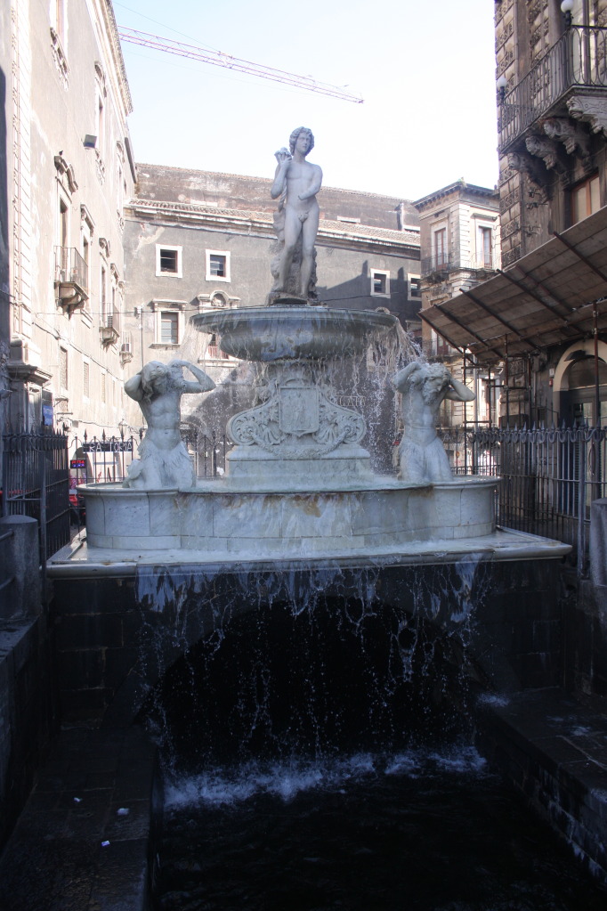 IMG_0217_zps4f861df2.jpg