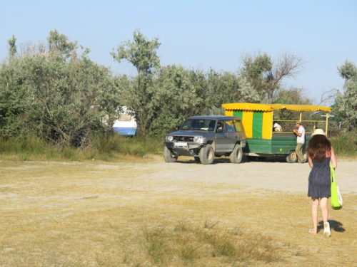 Ovako izgleda prevoz do plaže, inventivno i sjajno! (REW 2016)