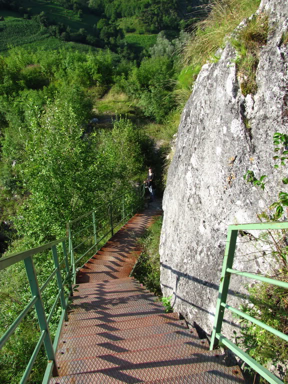 IMG_1860.jpg