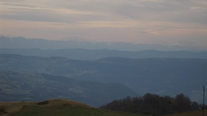 IMG_2455.jpg