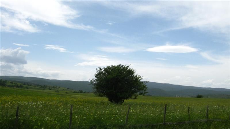 IMG_4073.jpg