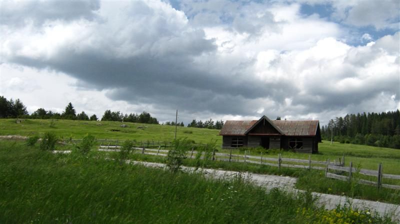 IMG_4090DA.jpg