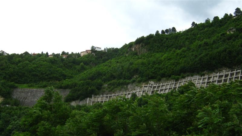 IMG_4117.jpg
