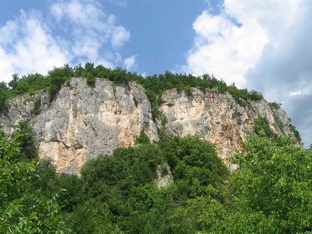 IMG_5861.jpg