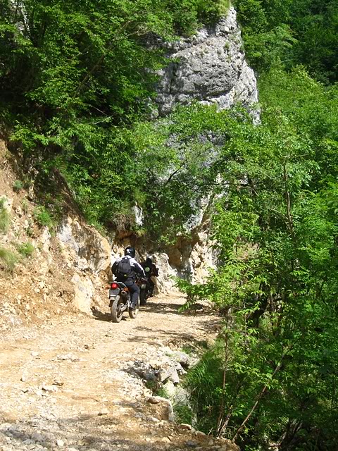 IMG_5862.jpg