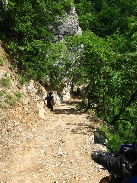 IMG_5863.jpg