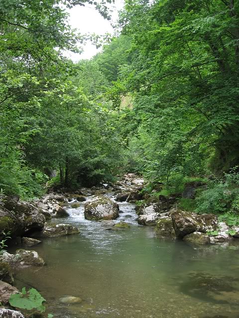 IMG_5876.jpg