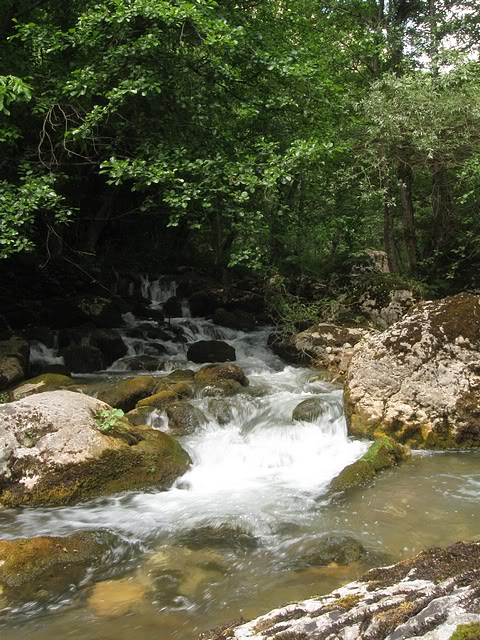 IMG_5904.jpg