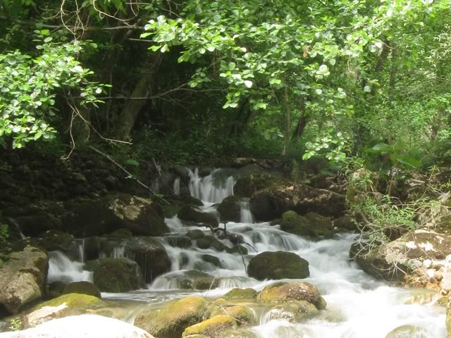 IMG_5905.jpg