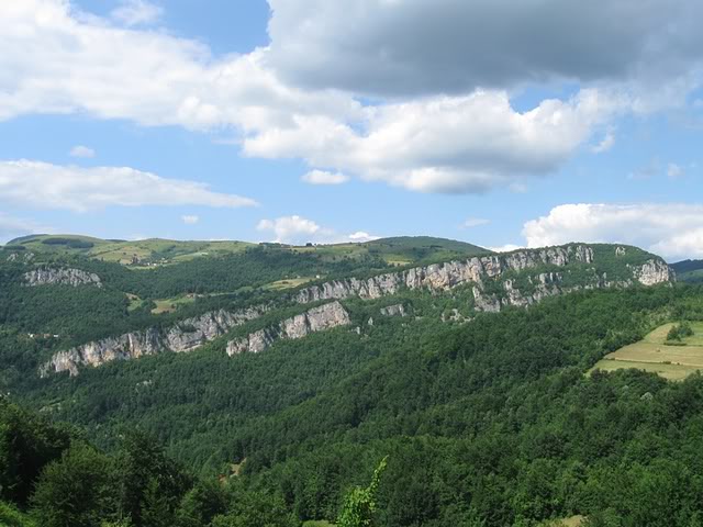 IMG_5921.jpg