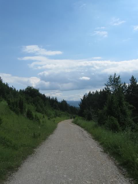 IMG_5928.jpg