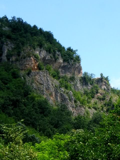 IMG_6153.jpg