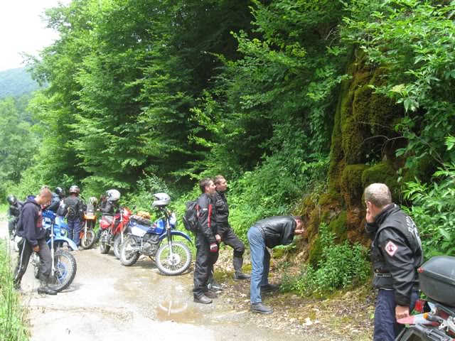 IMG_6175.jpg