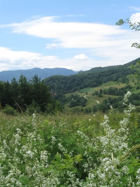 IMG_6188.jpg