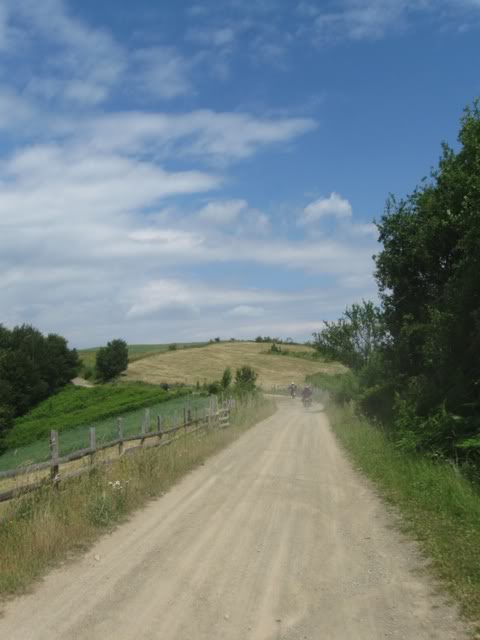 IMG_6205.jpg