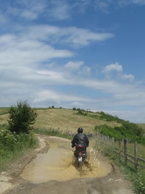 IMG_6206.jpg