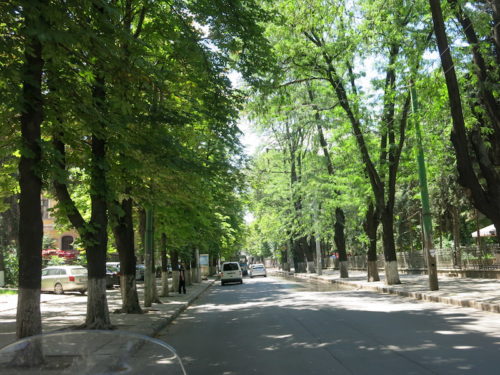 Centralne gradske ulice sa drvoredima (REW 2016)